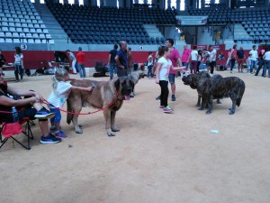 IMG_20150927_124612 (1)